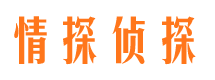 桓仁情人调查